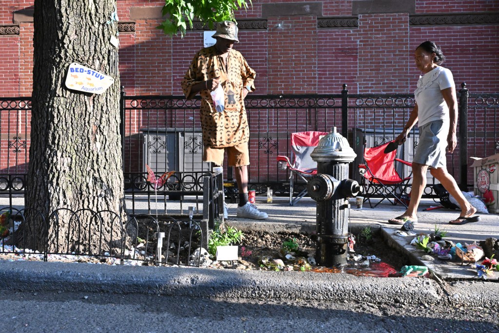 082724 Hydrant goldfish pond vandalized 01 J8f27j