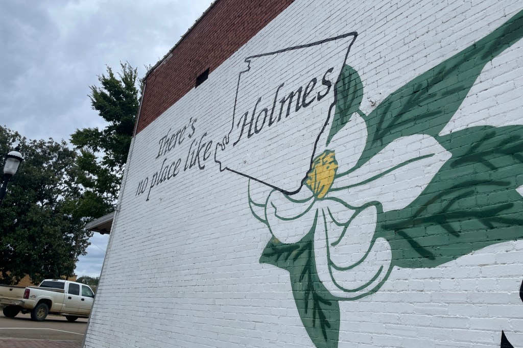 mural promoting holmes county mississippi 91943452 ErEsVZ