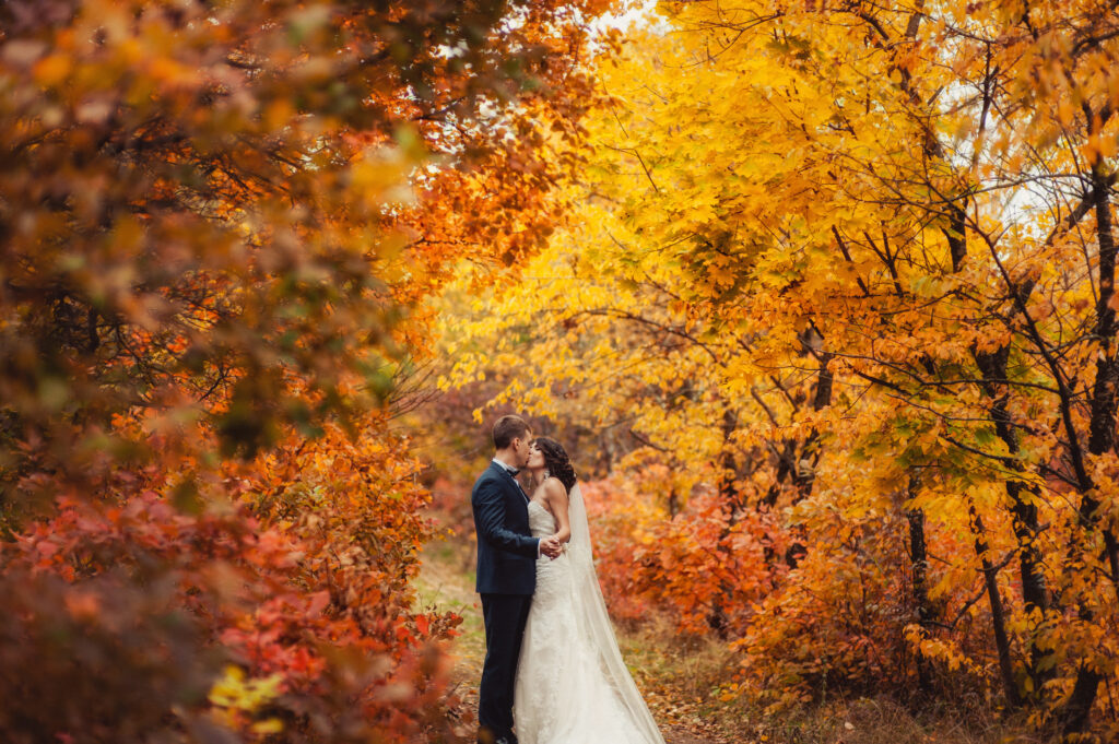 wedding couple walk autumn park 91927661 ugvy35