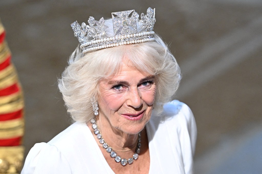 britains queen camilla attends state 93081415 H5pto7