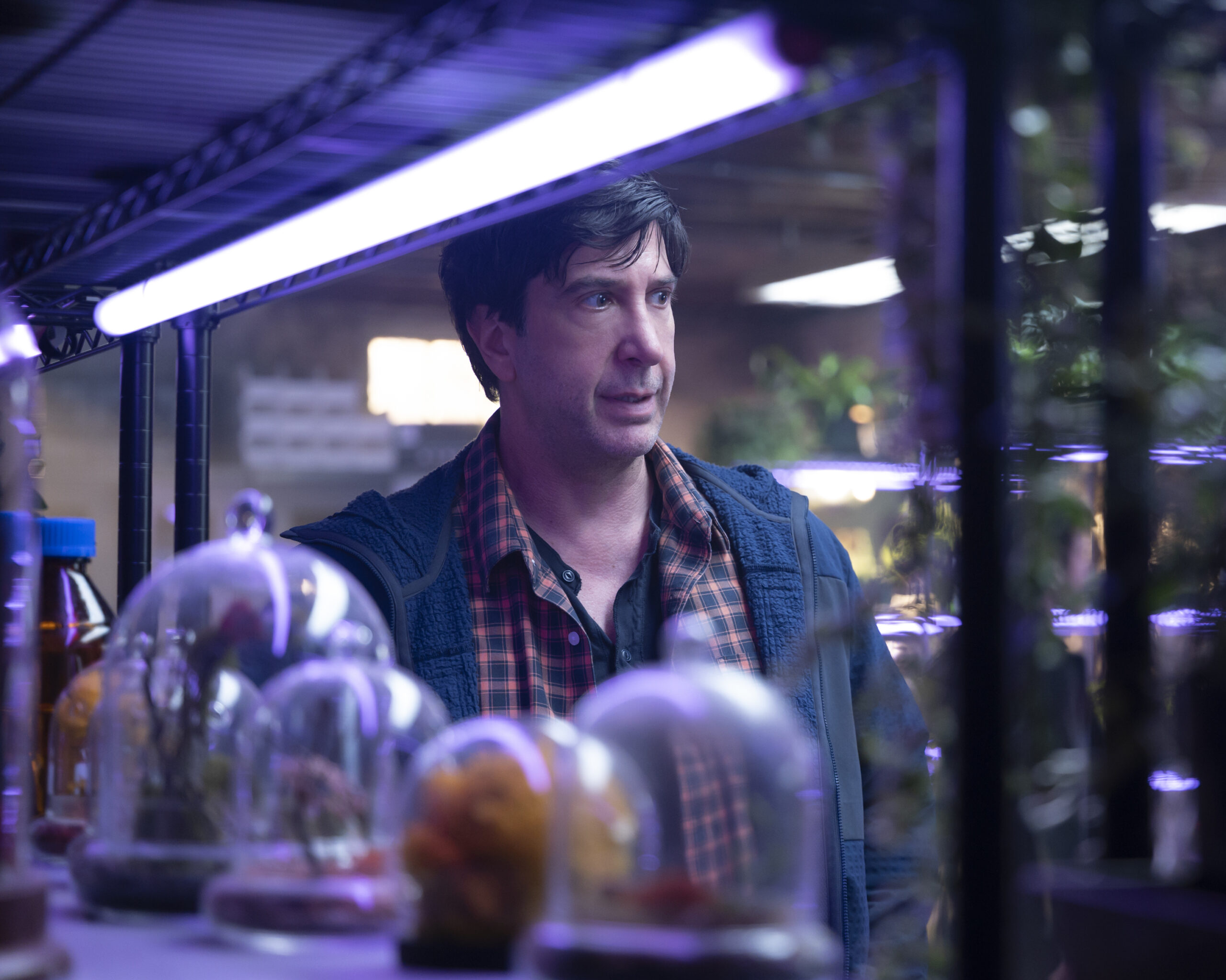 David Schwimmer says ‘Friends’ fame was ‘quite scary’: Cast ‘constantly followed by 3 or 4 cars’ 1 wp content2Fuploads2Fsites2F22F20252F012F172262 0061 v1 20b54d51 7Ai9UD scaled