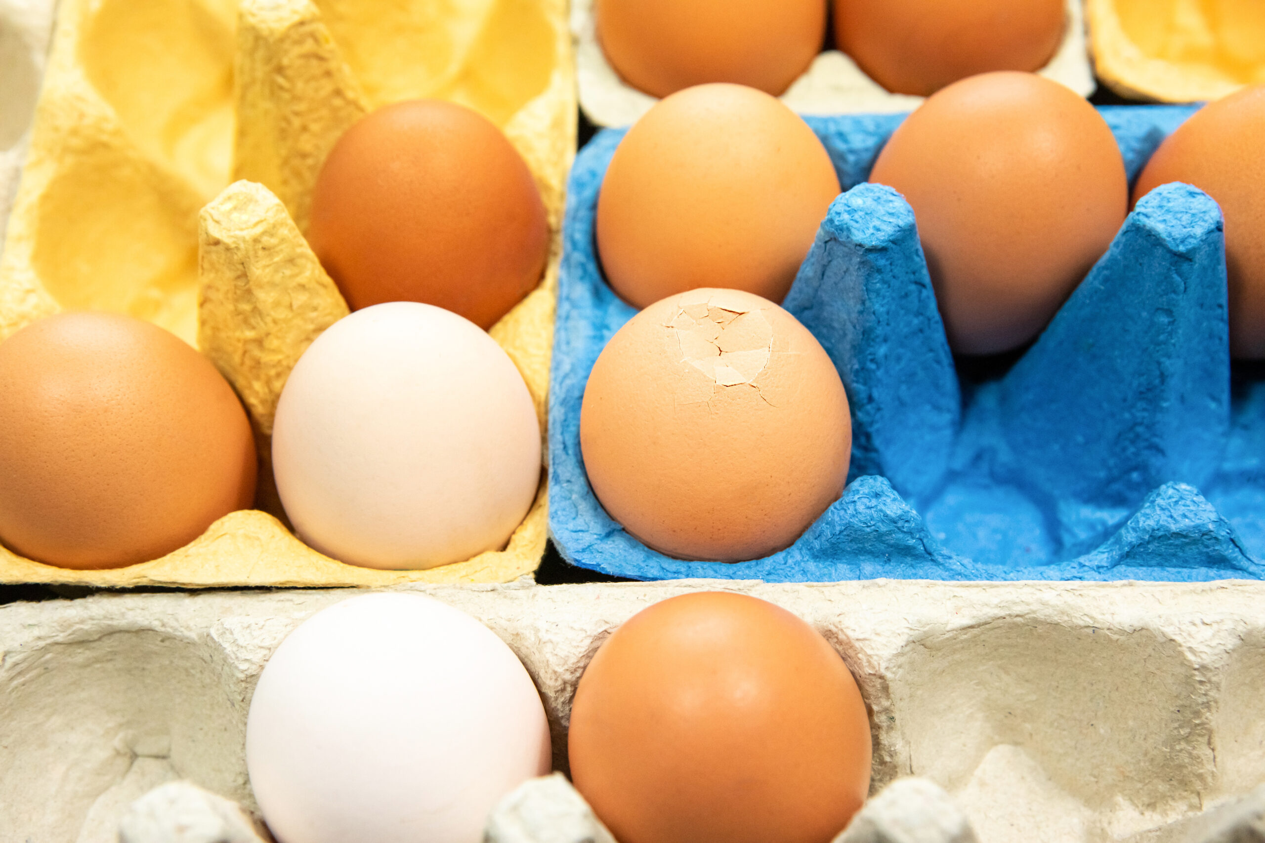 Is a cracked egg ever safe to eat? What to know before you toss them 1 wp content2Fuploads2Fsites2F22F20252F012F96114038 km7kMu scaled