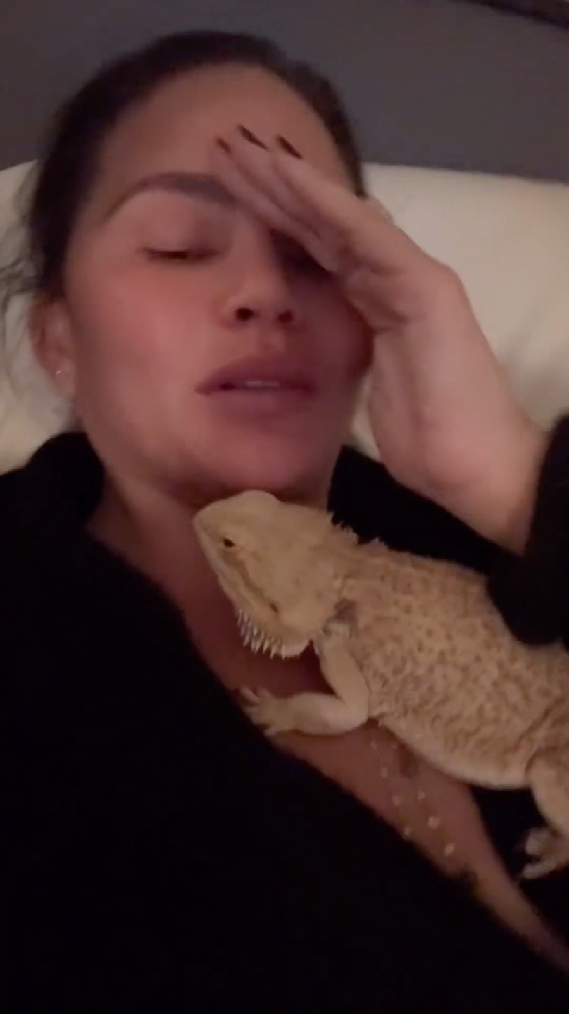 Chrissy Teigen and John Legend take refuge from LA wildfires in a hotel with their four kids, four dogs and pet bearded dragon 1 wp content2Fuploads2Fsites2F22F20252F012Fchrissy teigen husband john legend 96447882 lCpbHb