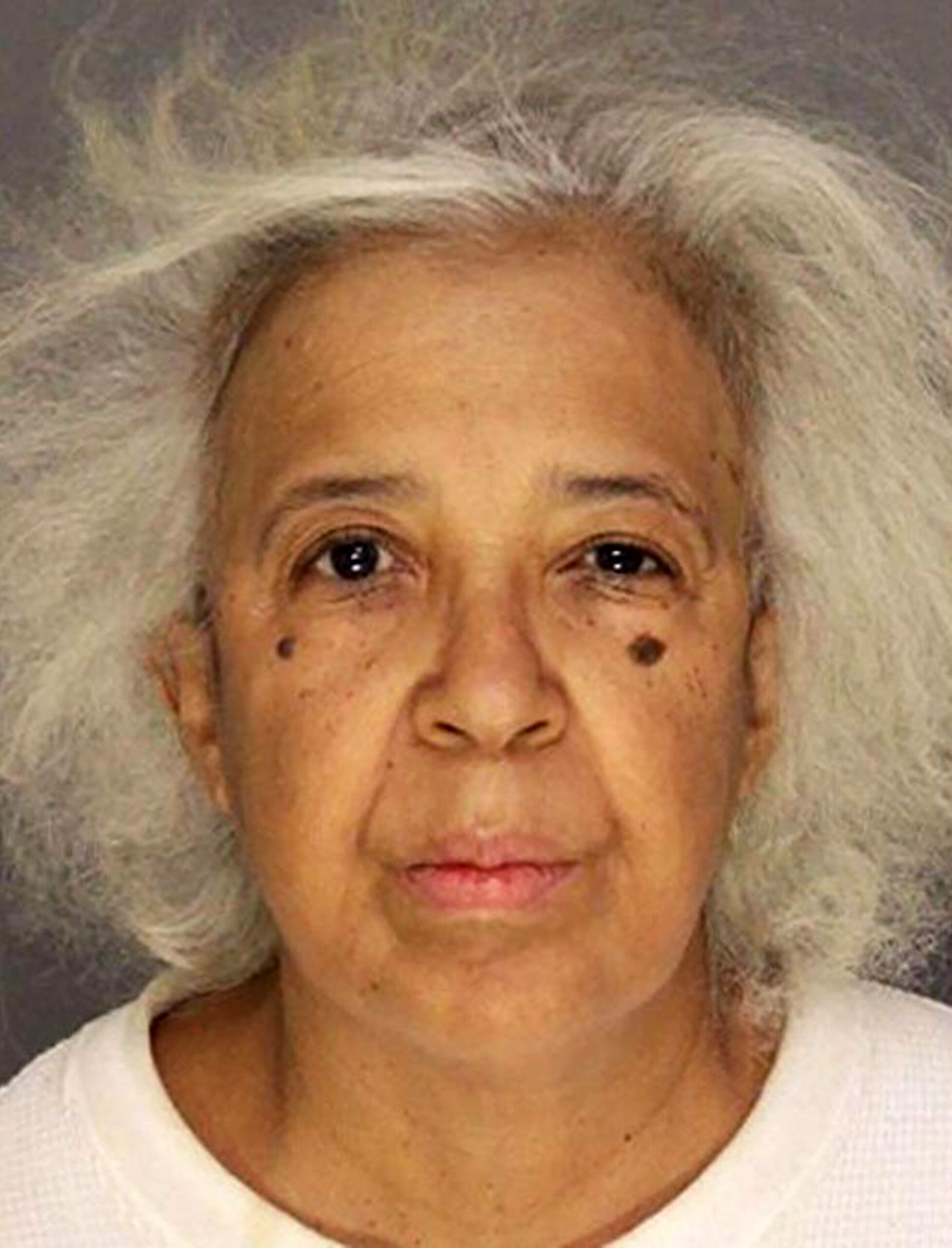 64-year-old accused of sexually assaulting boy she plied with booze after paying him $5 to clear snow: docs 1 wp content2Fuploads2Fsites2F22F20252F012Fpennsylvania woman faces indecent assault 96683121 cb5a4d 8MwrVT scaled