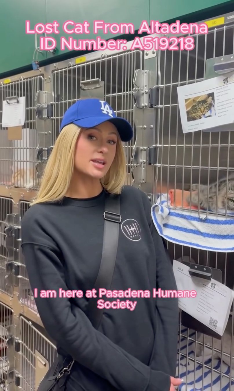 Paris Hilton fosters dog surrendered during LA wildfires even though her own home burned down 1 wp content2Fuploads2Fsites2F32F20252F012Fparis hilton foster dog surrendered 96649452 ArlhkO